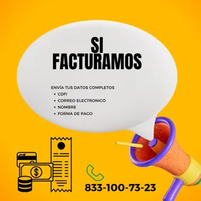 Furnished ground floor apartment in downtown Tampico - Image 5