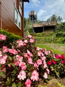 The Cozy Cabin - Your Gateway to Natural Serenity - Image 3