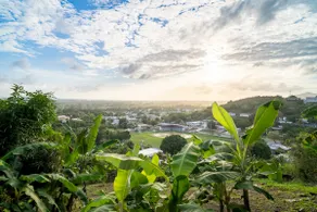 Caribbean Escape! - Image 2