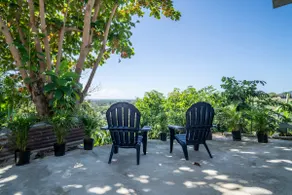 Caribbean Escape! - Image 4