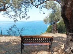 Sarakina Cottage Pelion - Image 5