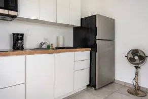 Bad Suite at Arecibo - Image 4