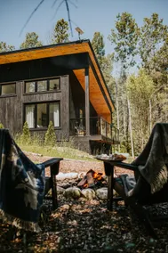 Modern Scandinavian Cabin in the Woods Lion's Head - Image 4