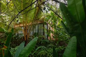 Solea Villa Tropical - Image 4