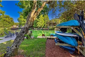 A Frame Stream Dream-Weeki Wachee - Image 5