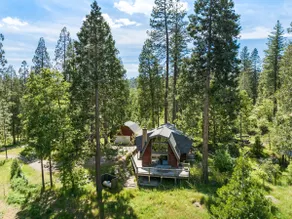 Forest Cabin Near Yosemite! - Image 4