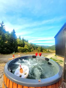 Accommodation Chalet Guesthouses Bucovina with Ciubar - Image 2