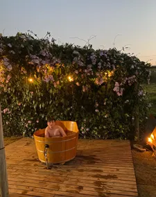 Country House / Ranch + BAOBÁ Swiss Chalet + Party Area - Image 5