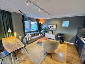 Penthouse with lake view with piano & vinyl player. - Image 4