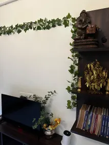 Kalpatharu 103 Duplex- 3BHK with AC & Powerbackup - Image 3