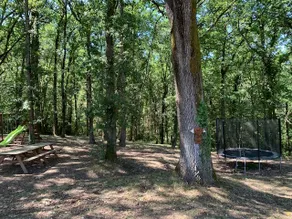 At the edge of the woods ”Oak side” - Image 2