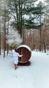 Modern, Sauna, Near Whiteface/Lake Placid, Dogs - Image 4