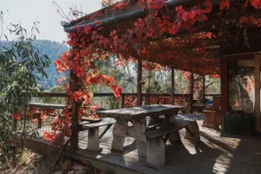 Browns' Off Grid Cabin - Image 2