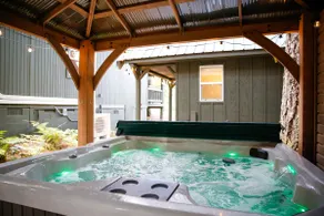 Green Escape: hot tub, A/C, firepit, EV chr, dogs OK - Image 4