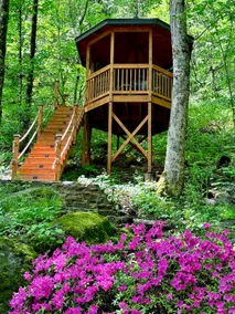 Touch Grass- Romantic Luxe, Waterfalls, Treehouse - Image 2