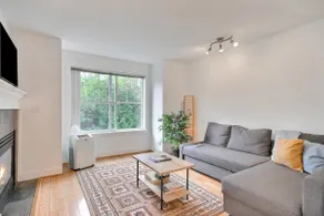 Seattle Harmony: cozy & central - Image 2