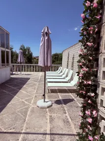 Luxury Villa with private pool and tennis court Puy du Fou - Image 3