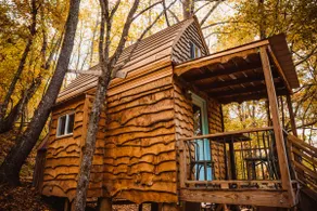 Tiny Cabin with outdoor kitchen and fire pit - Image 2