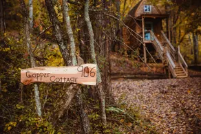 Tiny Cabin with outdoor kitchen and fire pit - Image 4