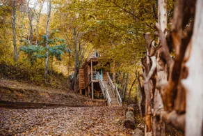 Tiny Cabin with outdoor kitchen and fire pit - Image 5