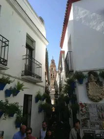 Magnificent accommodation near the Cathedral Mosque. - Image 2