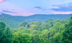 Roan Vista Cottage: Hiker's Paradise - Image 4