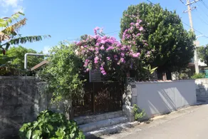 Ryukyu Ancestral House Momoto, a private rental accommodation - Image 3