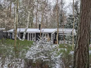 Authentic cabin in the middle of the forest - Image 5