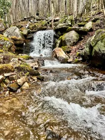 December Snow Sale-Cozy Cabin/Creekside+Waterfall - Image 5