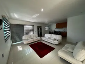 Lau Avalos Department - Image 4