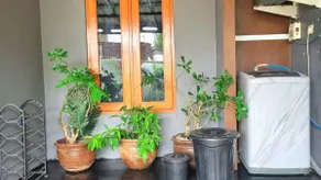 Panda Homestay Jogja - Image 3