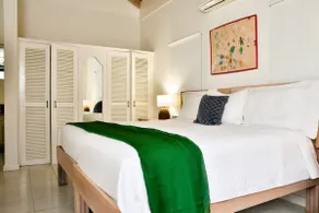 Hilltop 4BR Retreat w/Private Pool Near Ocho Rios - Image 4