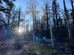The Hidden Grove: Off-grid Forest Getaway w/ WiFi - Image 3