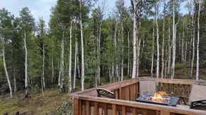 The Hidden Grove: Off-grid Forest Getaway w/ WiFi - Image 2