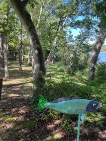 Camp Belle Haven - Image 2