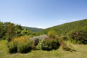 Tuscan stone farmhouse studio with private terrace - Image 3