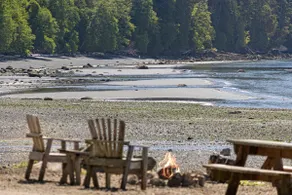 Beachfront Cabin, 2BR on absolutely stunning beach - Image 3
