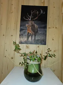Furnished GITE Eglantine 2-6 people + SPA in residence - Image 5