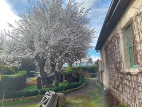 Soloman's Store Cottage ,Campbell Town,Tasmania - Image 3
