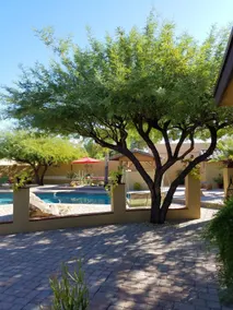 Quiet Private pool & patio Cave-Creek N Scottsdale - Image 4