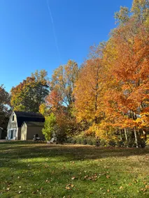 Modern Country Cottage by Bear Mountain - Image 2