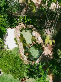Bungalow with Natural Pool - Algodões Beach - Image 3