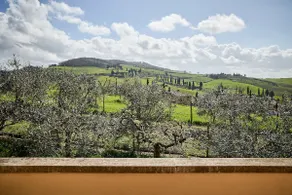 PoliFlora Panorama - Image 4