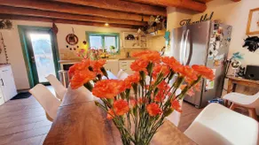 Magical Adobe Home On Rio Grande 4 bdr 2 bath 8 pp - Image 4