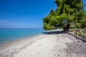Viorelis Sea View Villa - Image 5