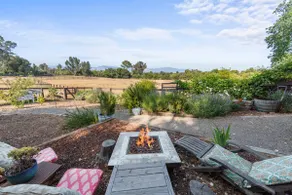 Anavo Farm’s Chic Sheep Retreat - Image 5