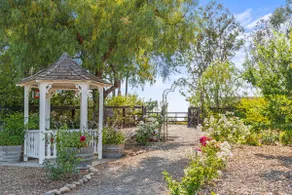 Anavo Farm’s Chic Sheep Retreat - Image 5