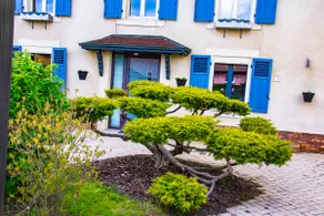 Quiet apartment between Épinal and Gérardmer - Image 5