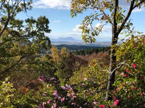 The Lodge - Self Catering with brilliant views - Image 4