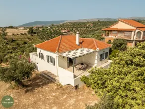 Villa Evgenia - Image 4